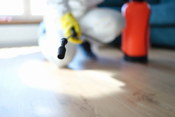 Best Residential Mold Inspection & Testing  in Mabscott, WV